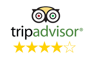 TripAdvisor Review