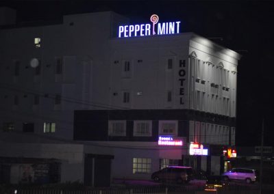Peppermint Hotel in Hosur